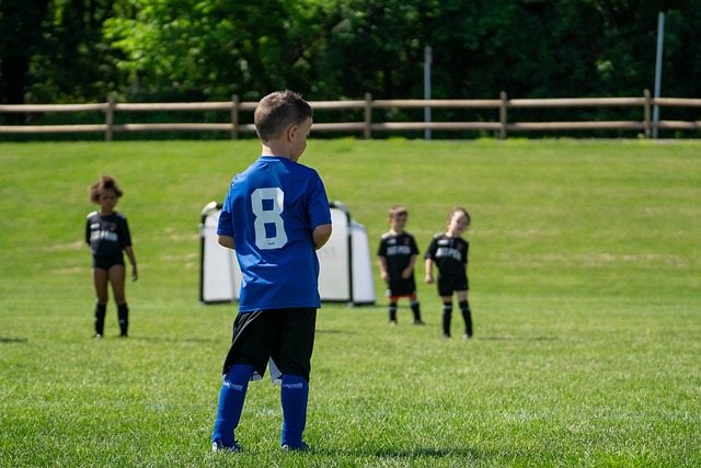 主教练与球 主教练与球