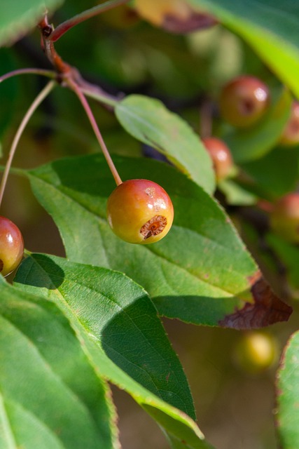 场的声誉 场的声誉