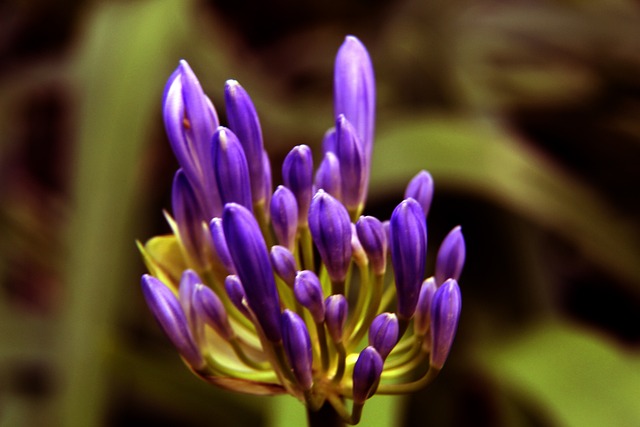 带动了整个 带动了整个